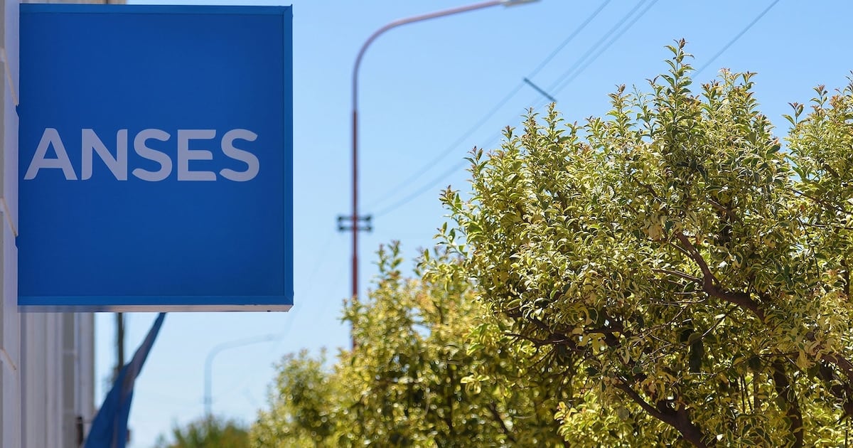ANSES cierra el calendario de agosto con pagos a DNI 8 y 9: cuánto cobran los haberes superiores al mínimo