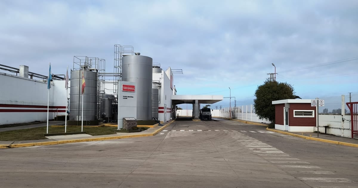 Verónica concreta la venta de dos plantas por 15,5 millones de dólares y traspasa a 225 operarios dentro de su concurso preventivo
