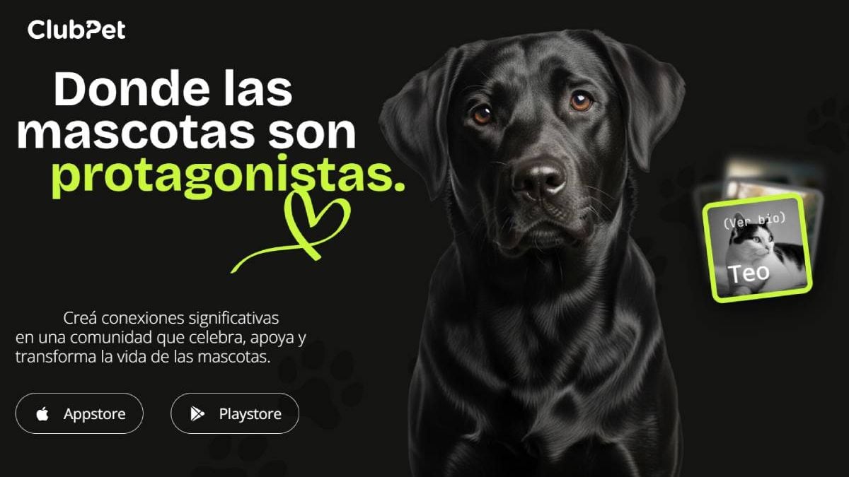 Una noche para abrirle la puerta a un perro o a un gato que espera en Neuquén