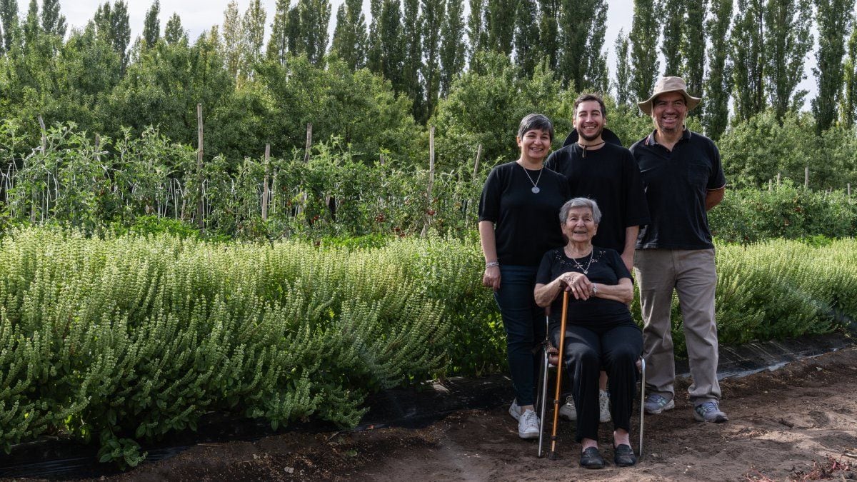 Un papel guardado durante décadas guardaba el secreto: dos hermanos revivieron la salsa de la abuela y hoy la venden en todo el país