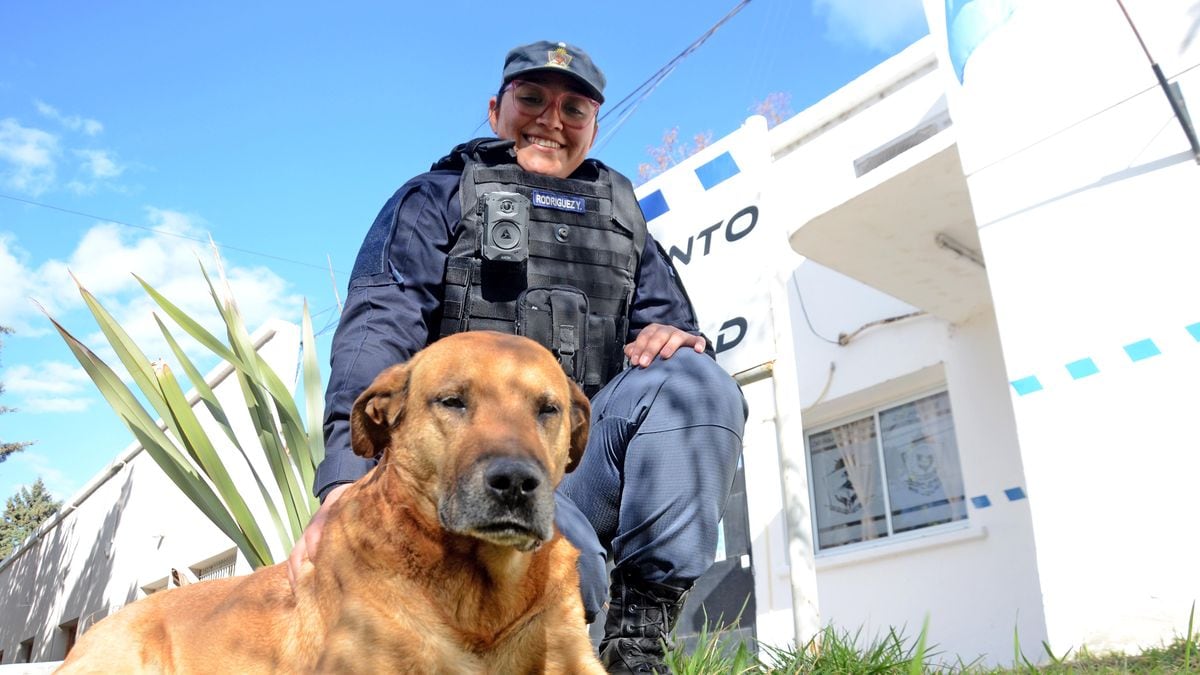 Puchero, el perro que lleva más de una década patrullando Neuquén en bicicleta junto a los agentes