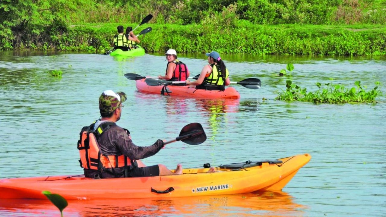 Kayak en la laguna Setúbal: tres formatos de recorrida desde Arroyo Leyes para explorar el espejo de agua santafesino