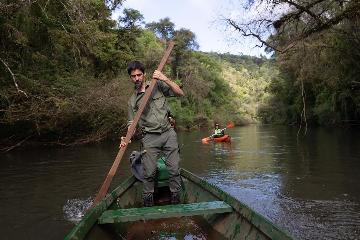 Una reserva de 65 hectáreas en Misiones articula conservación, turismo y restauración en el corredor de la selva paranaense