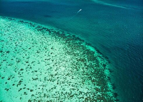 Cayo Ambergris: dos rutas hacia San Pedro y un catálogo de excursiones sobre el Caribe beliceño