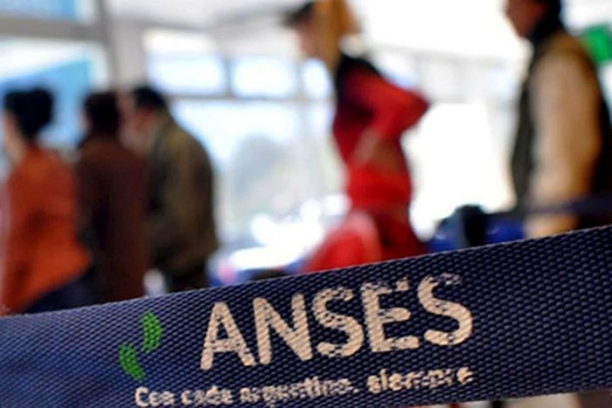 Anses deposita haberes superiores al mínimo y la Prestación por Desempleo: cómo consultar fecha y lugar de cobro