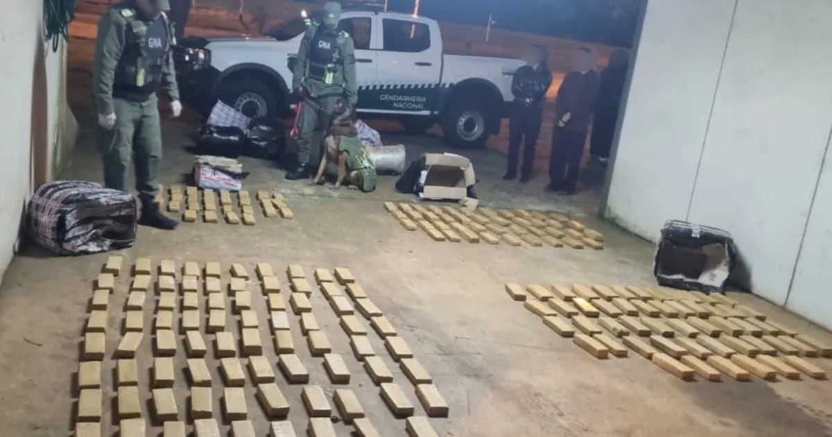 Secuestran más de 142 kilos de marihuana en un micro de larga distancia que iba de Iguazú a Buenos Aires