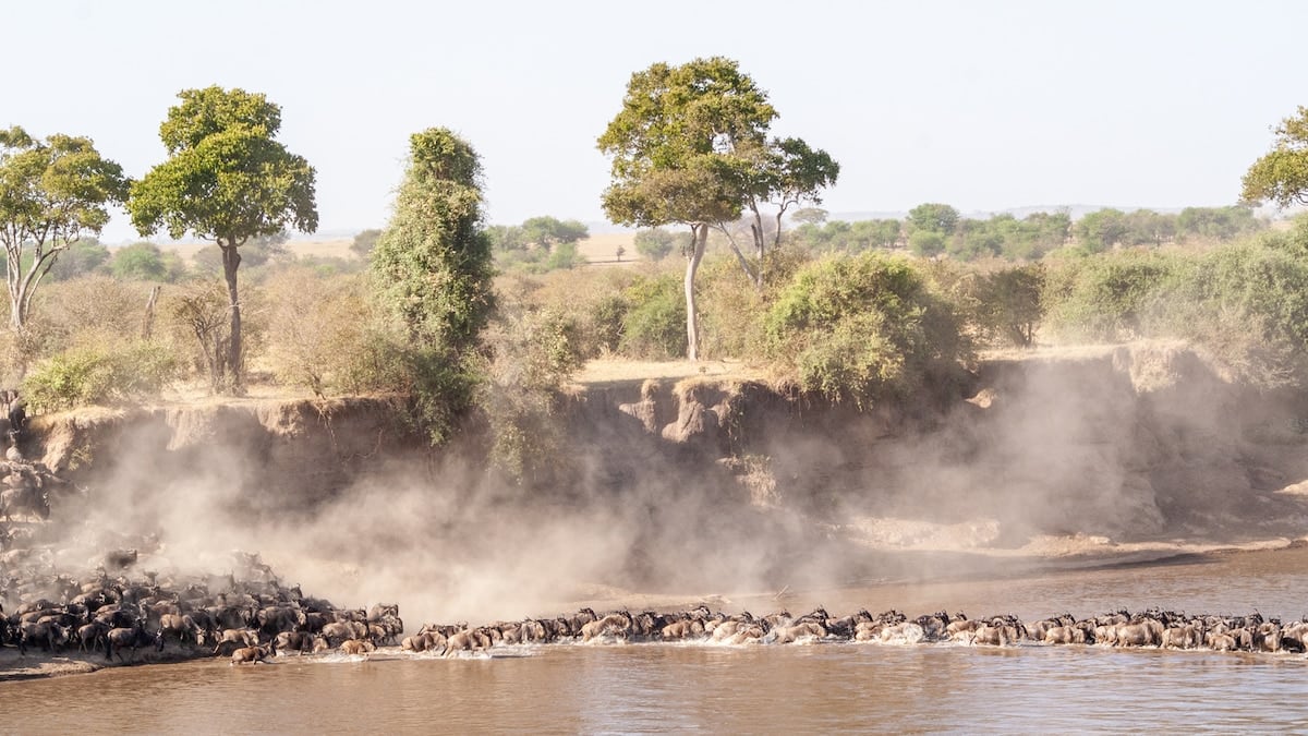 El norte de Tanzania abre su abanico de sabanas, cráteres y aldeas en un mismo recorrido