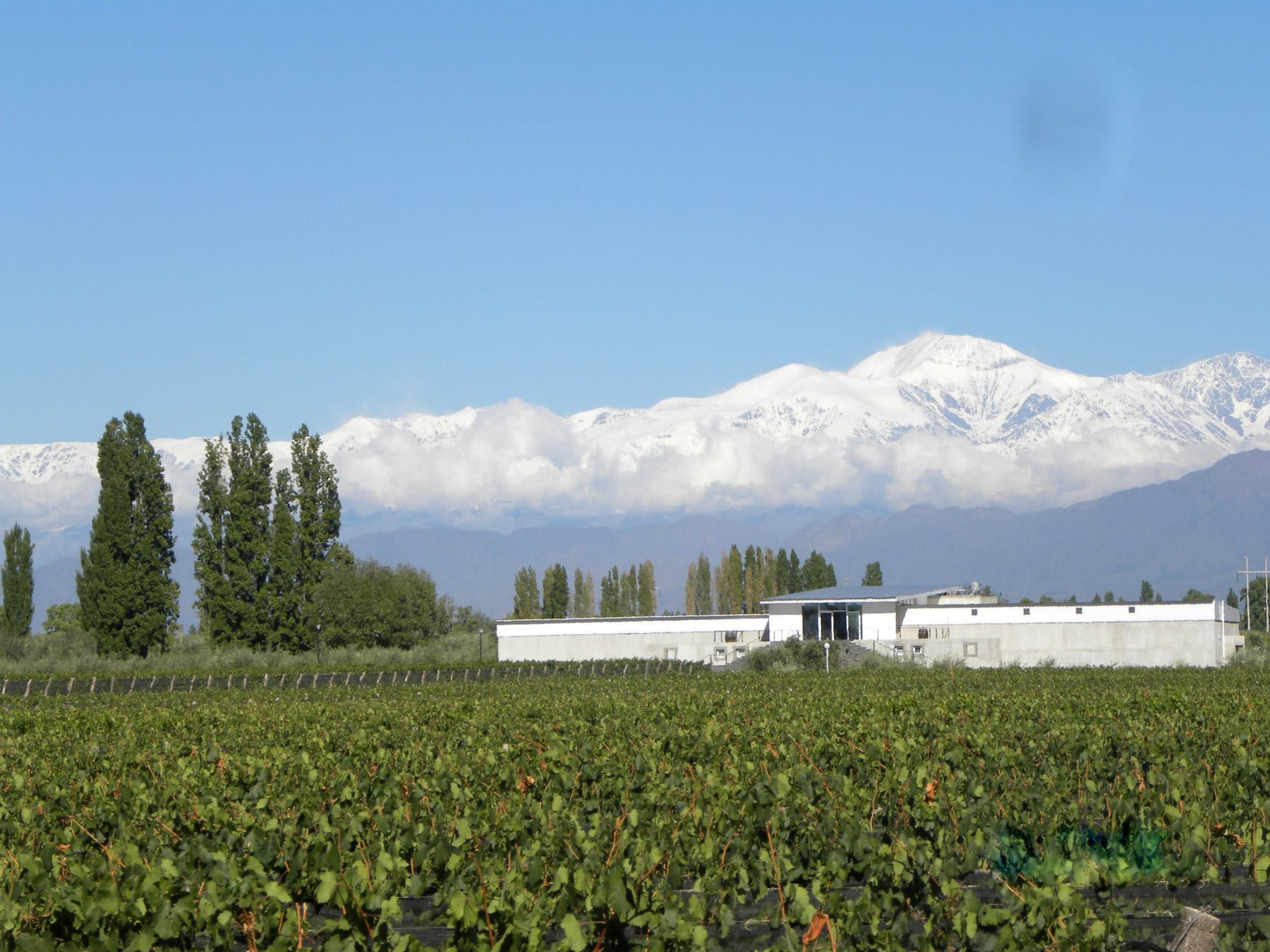 Chacras de Coria reconfigura su oferta turística y suma dos Llaves en un radio de hectáreas mendocinas