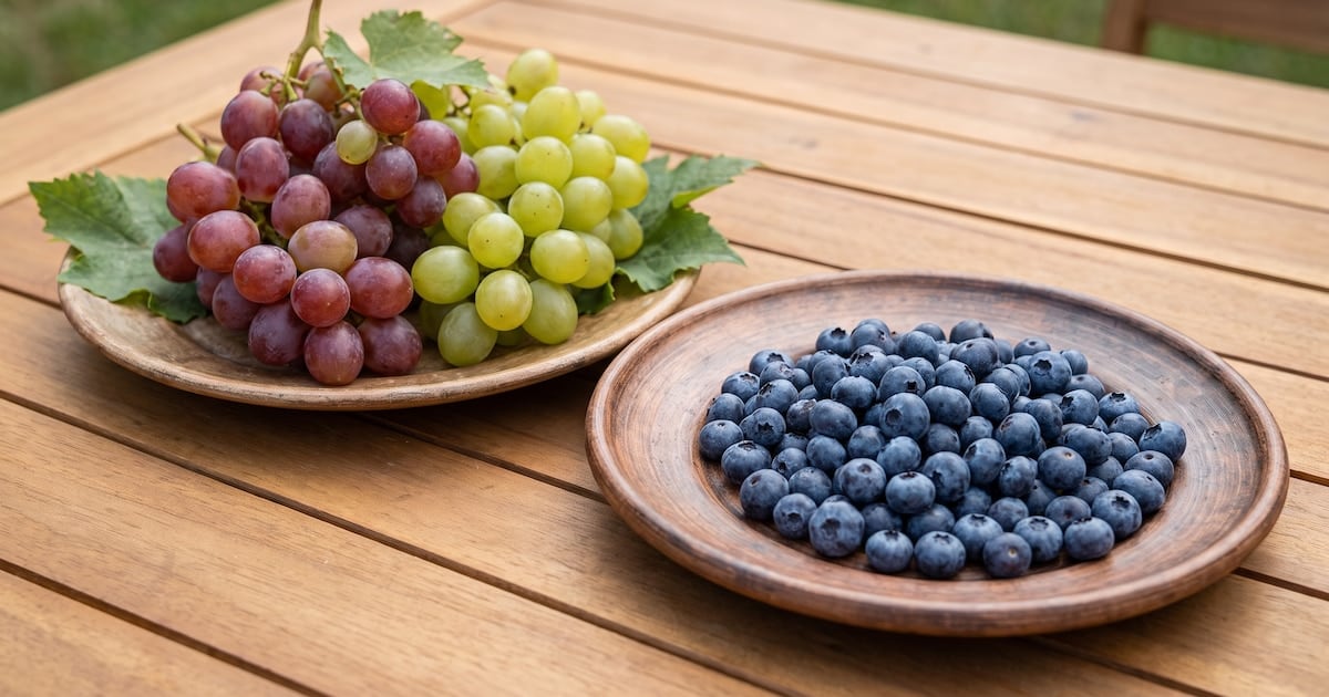 Arándanos o uvas: la pulseada de la glucosa y por qué la fibra define al ganador