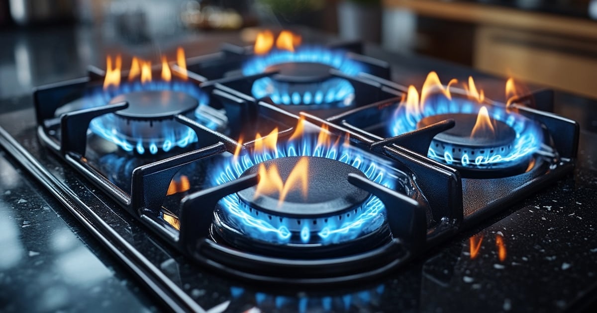 El Gobierno reduce el subsidio al gas y afecta a 3,35 millones de hogares