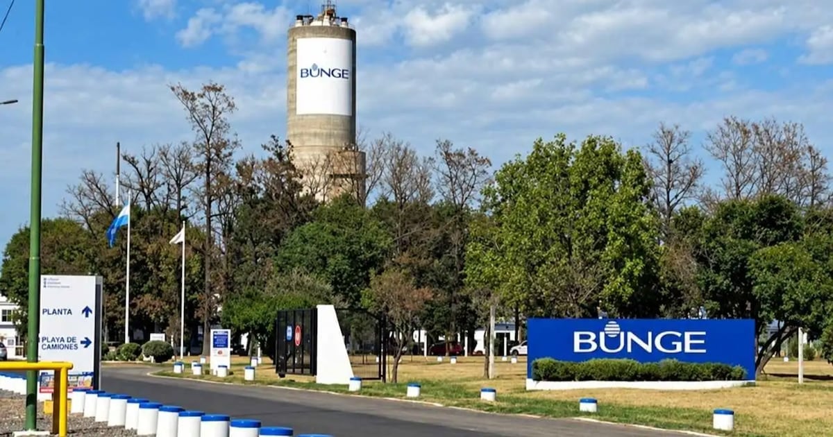 Campana: cesa la producción de dos insumos para fertilizantes y despiden a 110 personas